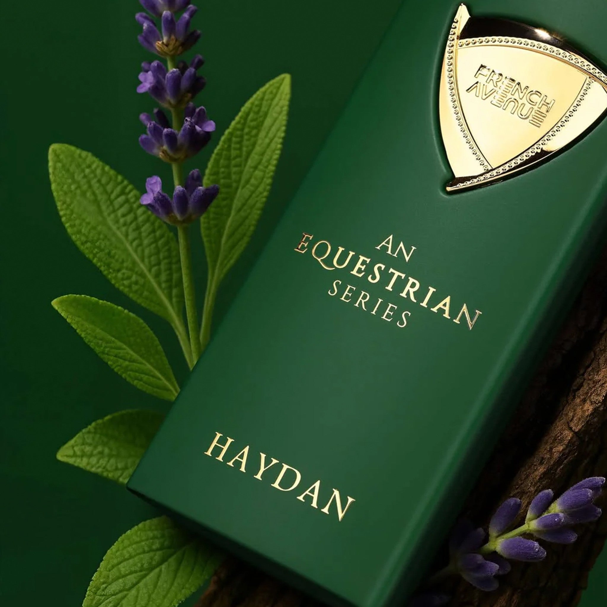 Haydan by French Avenue - Apa de parfum barbati - 100 ml