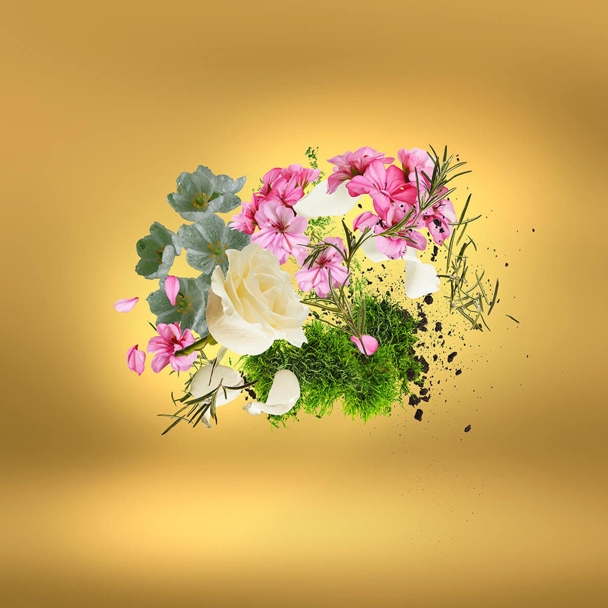 Xerjoff Casafutura by Xerjoff - Apa de parfum unisex - 100 ml