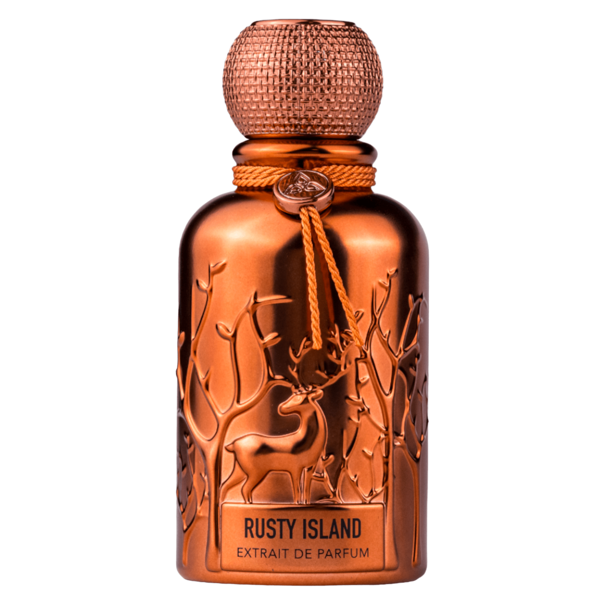Rusty Island by Auraa Desire - Extract de parfum barbati - 100 ml