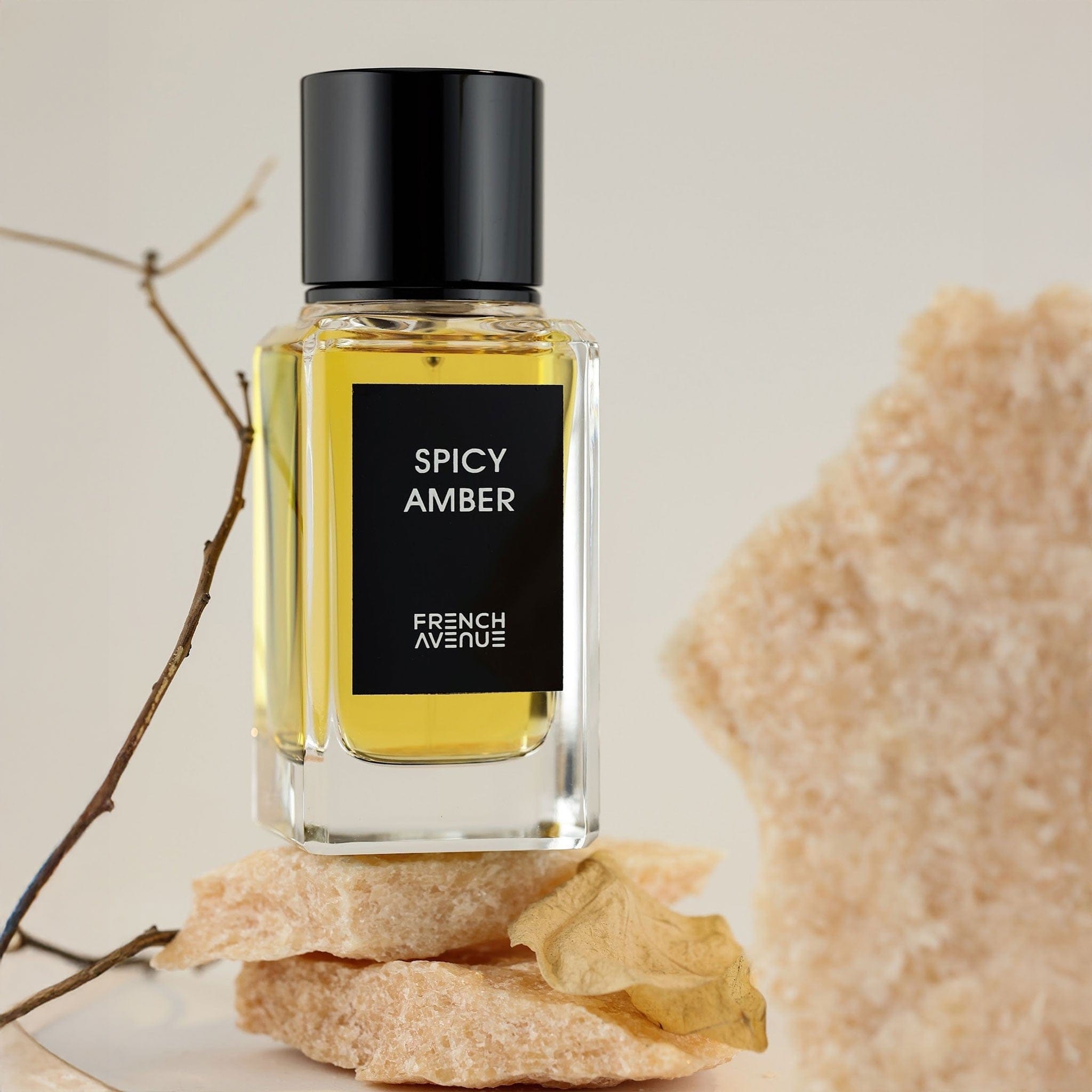 Spicy Amber by French Avenue - Apa de parfum unisex - 100 ml
