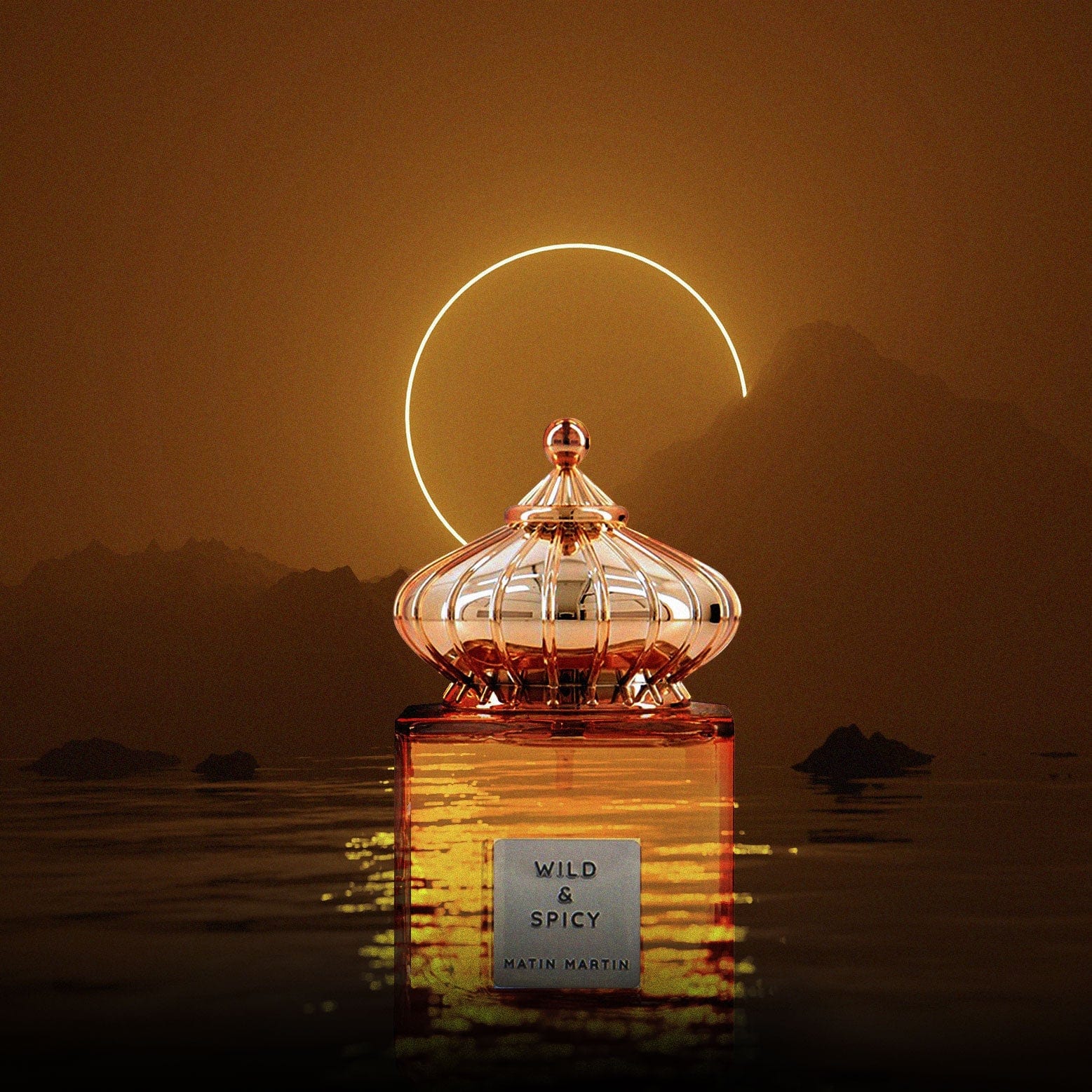 Wild & Spicy by Matin Martin - Apa de parfum barbati - 100 ml