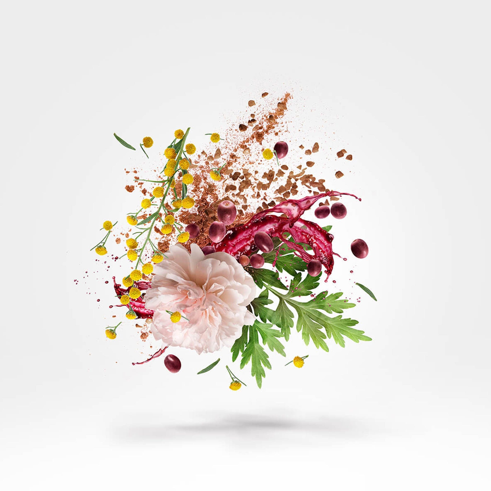 Xerjoff Zefiro by Xerjoff - Apa de parfum unisex - 100 ml