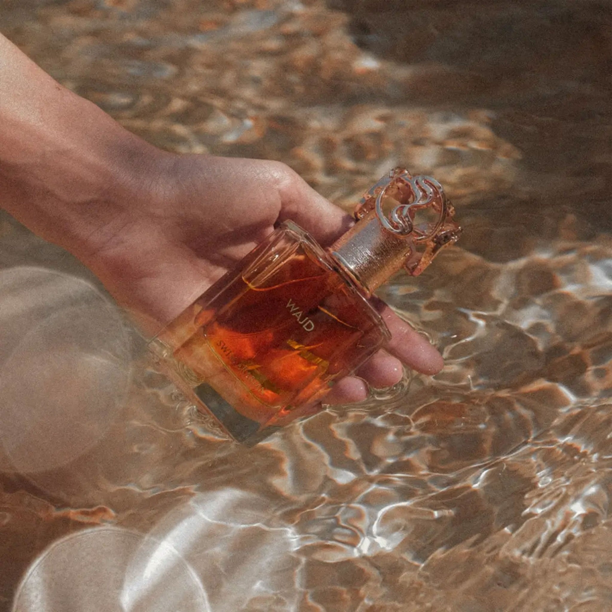 Wajd by Swiss Arabian - Extract de Parfum unisex - 50 ml