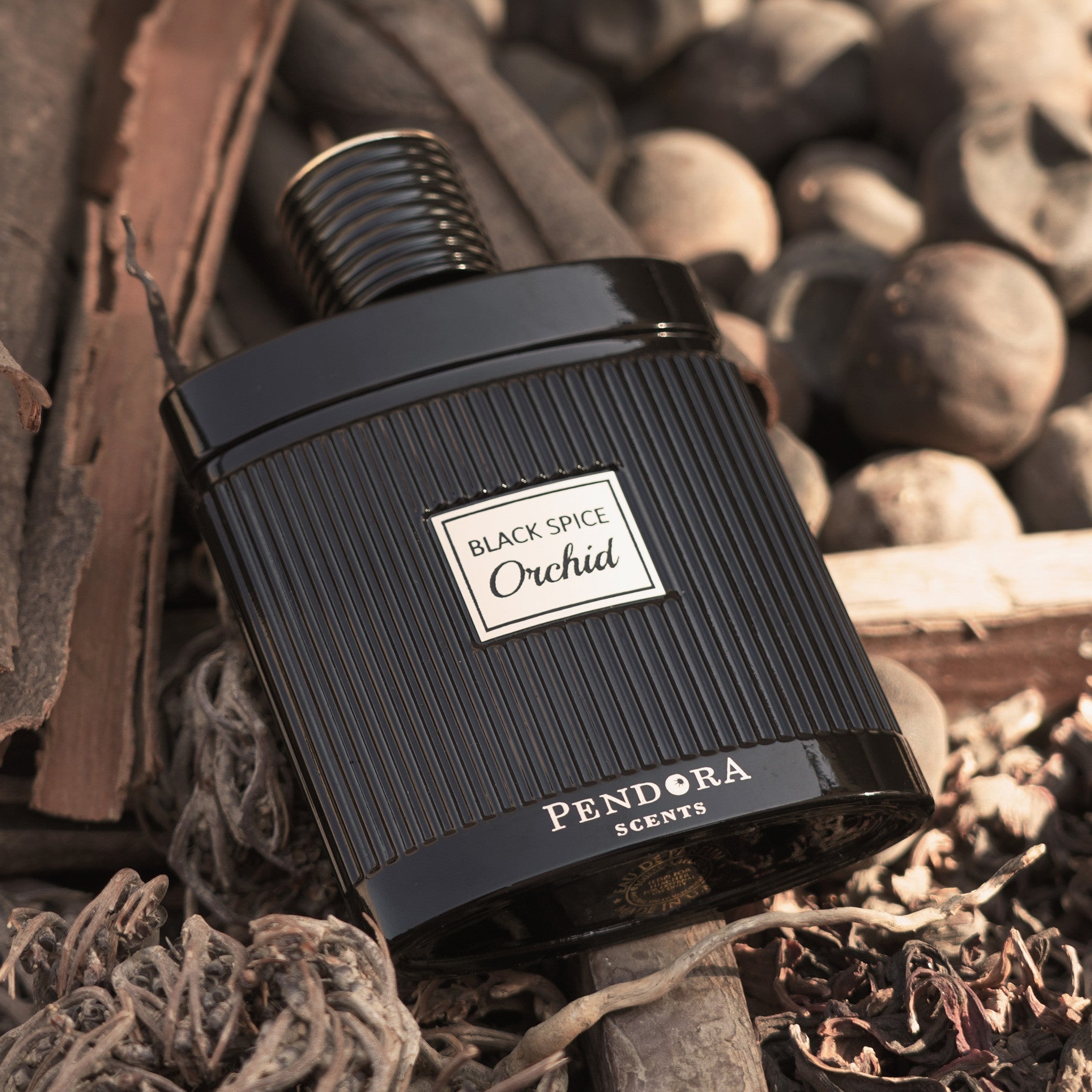 Black Spice Orchid by Pendora Scents - Apa de Parfum Unisex - 100 ml