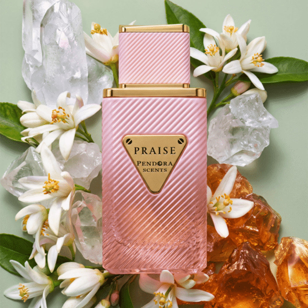 Praise by Pendora Scents - Apa de parfum unisex - 100 ml