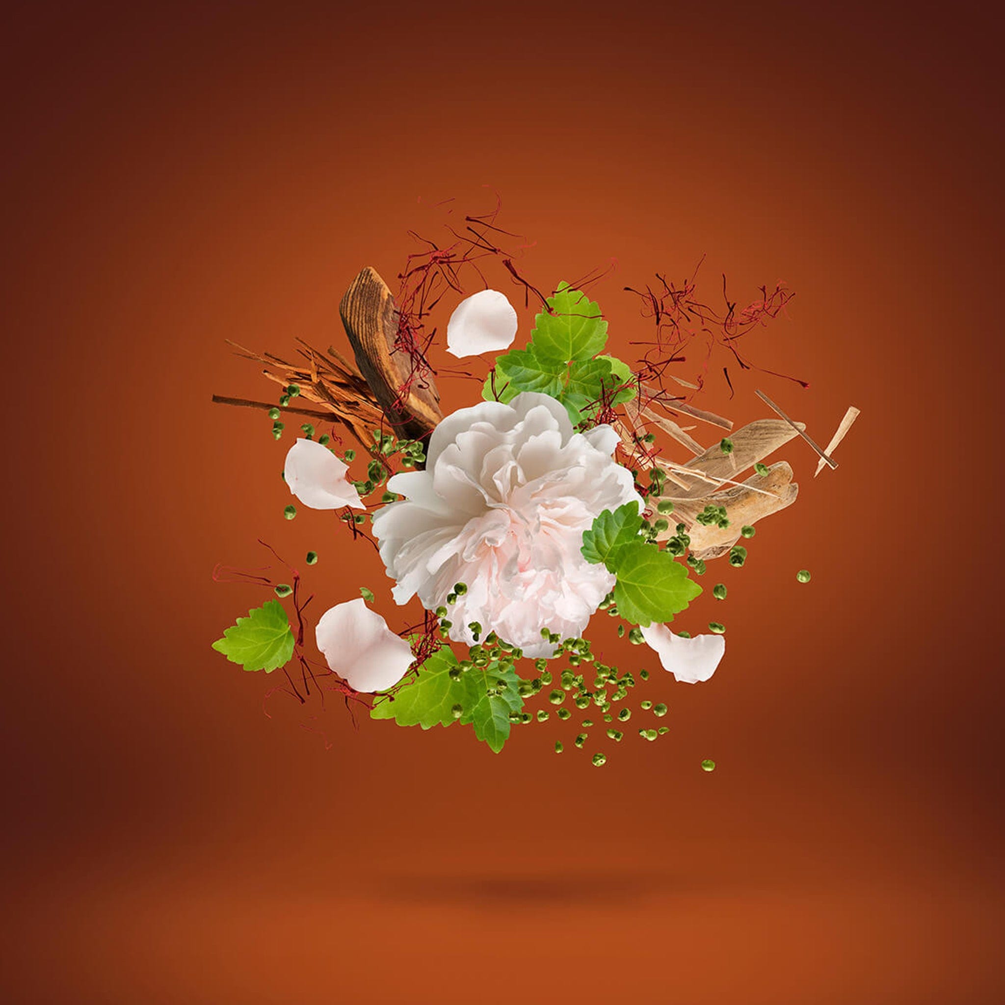 Xerjoff 1888 by Xerjoff - Apa de parfum unisex - 100 ml