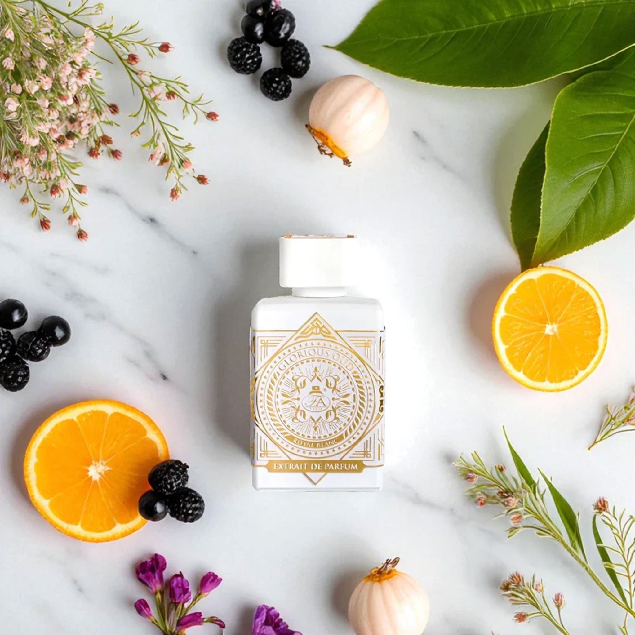 Glorious Oud Royal Blanc by French Avenue - Extract de parfum unisex - 80 ml