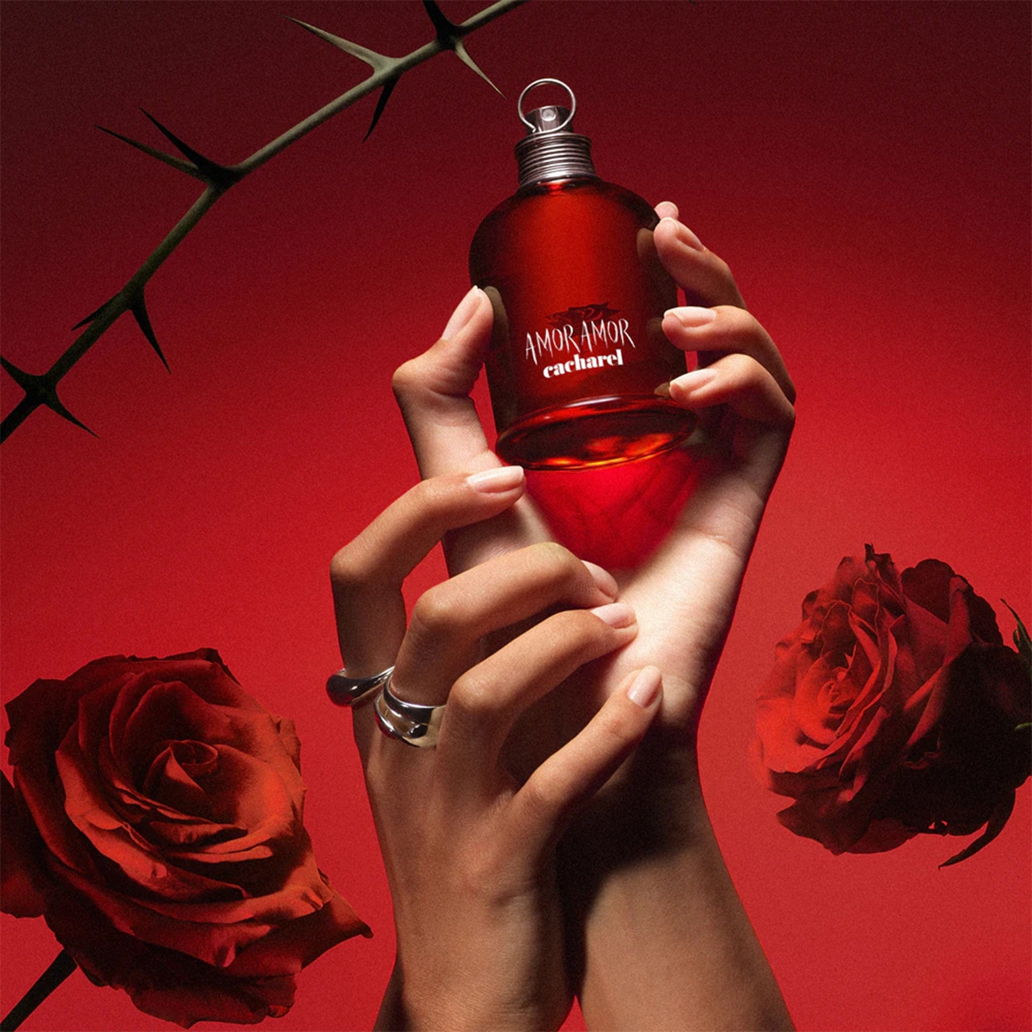Amor Amor by Cacharel - Apa de Toaleta Dama - 100 ml