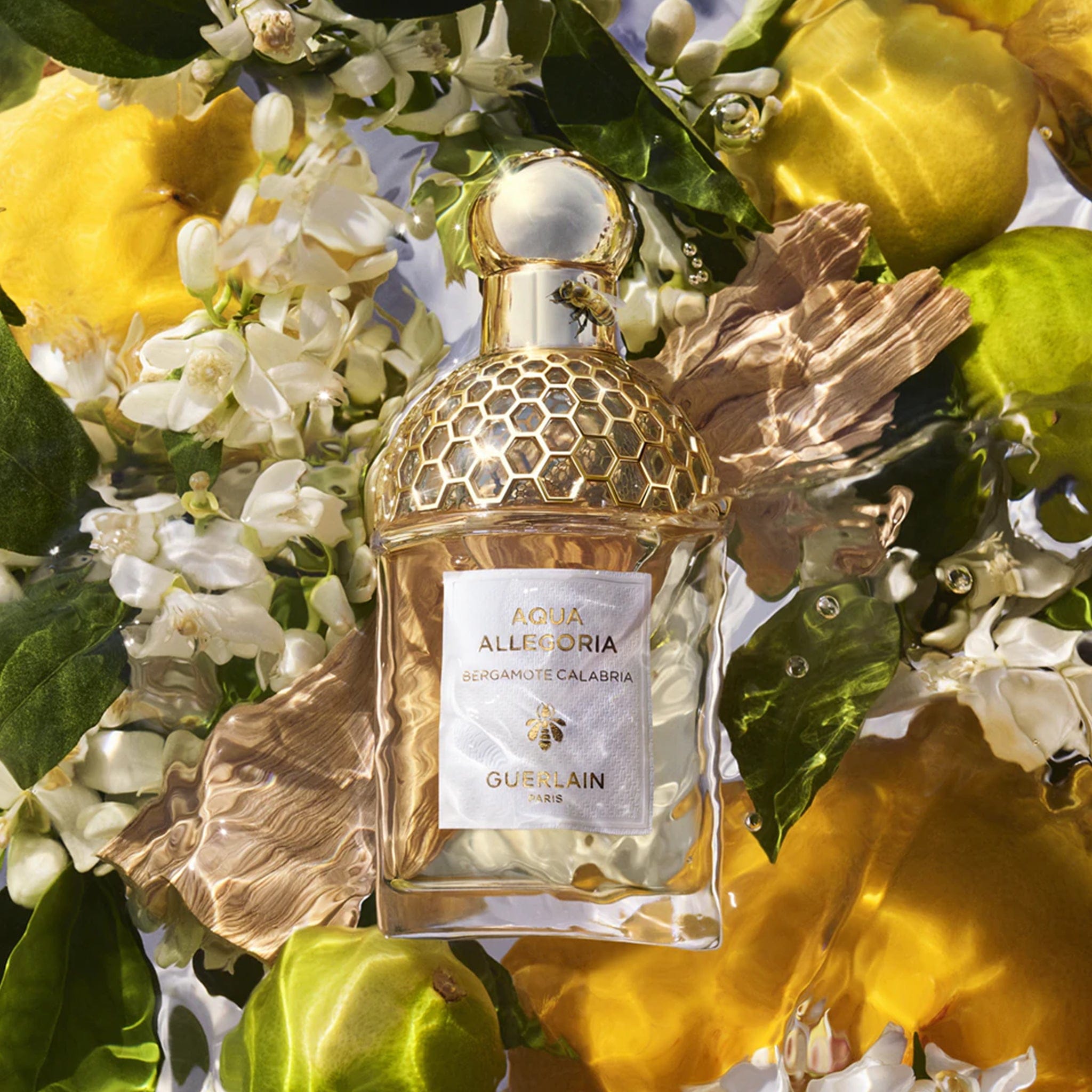 Aqua Allegoria Bergamote Calabria by Guerlain - Apa de toaleta unisex - 75 ml