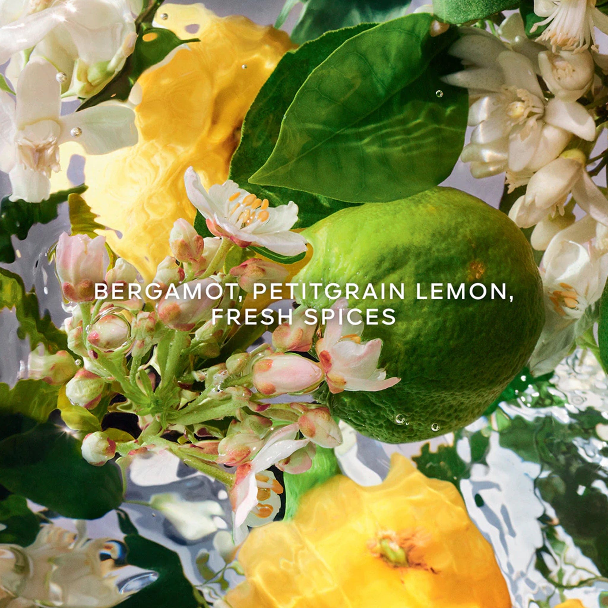 Aqua Allegoria Bergamote Calabria by Guerlain - Apa de toaleta unisex - 75 ml