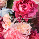 Aqua Allegoria Rosa Rossa Eau de Toilette 75ml