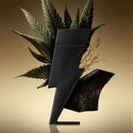 Bad Boy le Parfum - 100ml