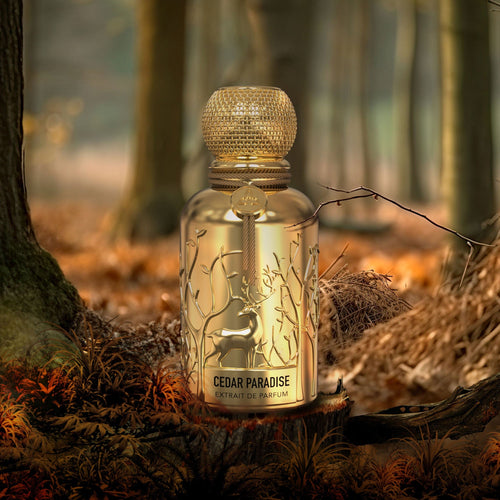 Cedar Paradise - Extract de parfum Barbati - Auraa Desire 100 ml