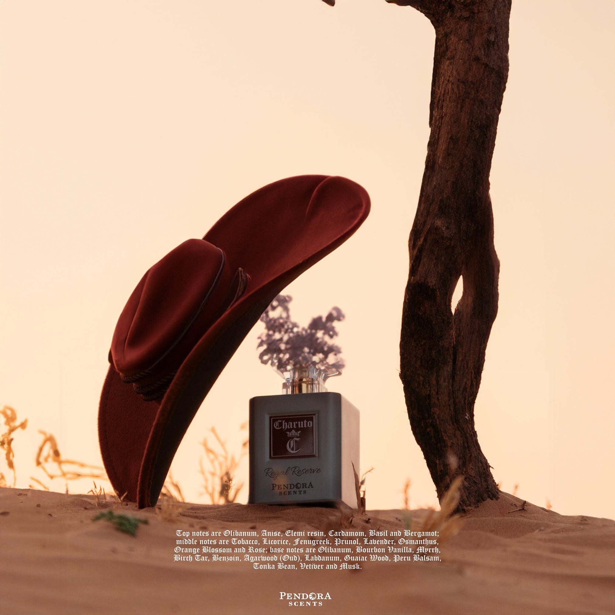 Charuto Regal Reserve by Pendora Scents - Apa de parfum barbati - 100 ml