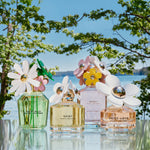 Daisy - 100ml