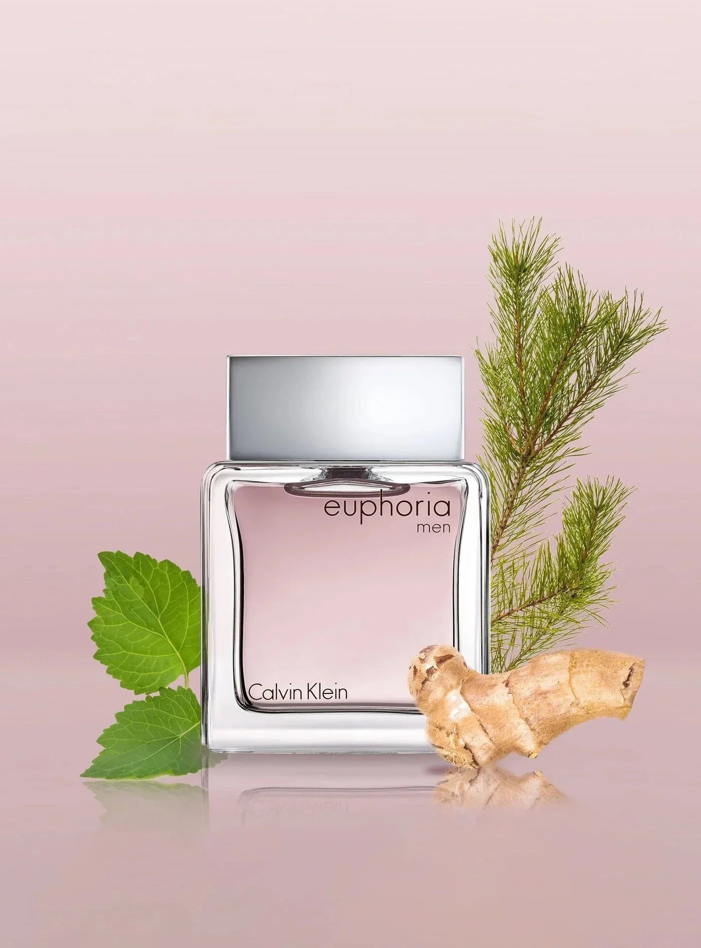 Euphoria Men by Calvin Klein - Apa de Toaleta Barbati - 100 ml