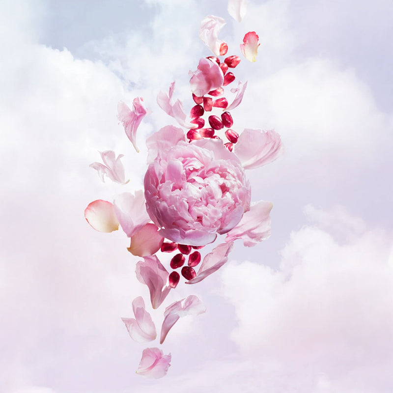 Flowerbomb Bloom Eau de Toilette 50ml