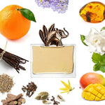 Jungle l'Elephant - 100ml