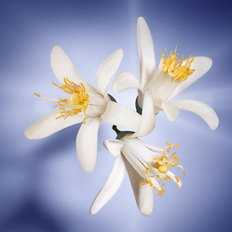 La Vie Est Belle l'Eclat Eau de Parfum 75ml