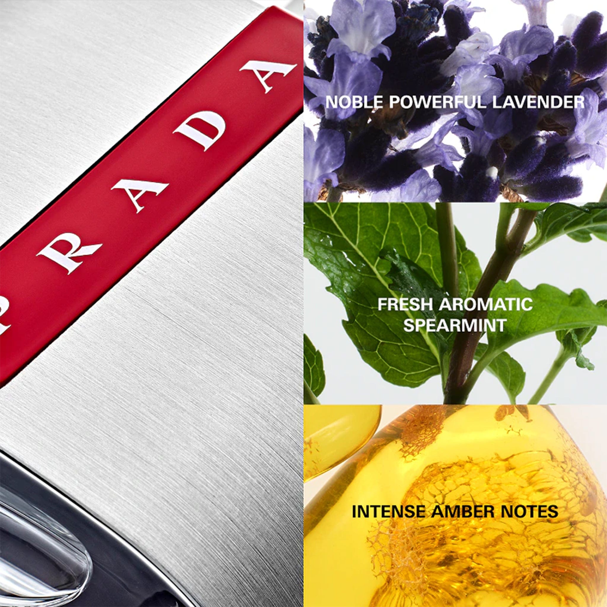 Luna Rossa by Prada - Apa de toaleta barbati - 50 ml