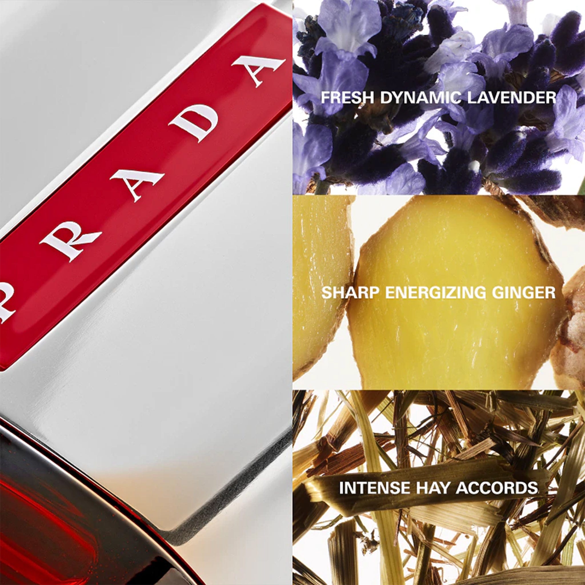 Luna Rossa by Prada - Apa de toaleta barbati - 100 ml