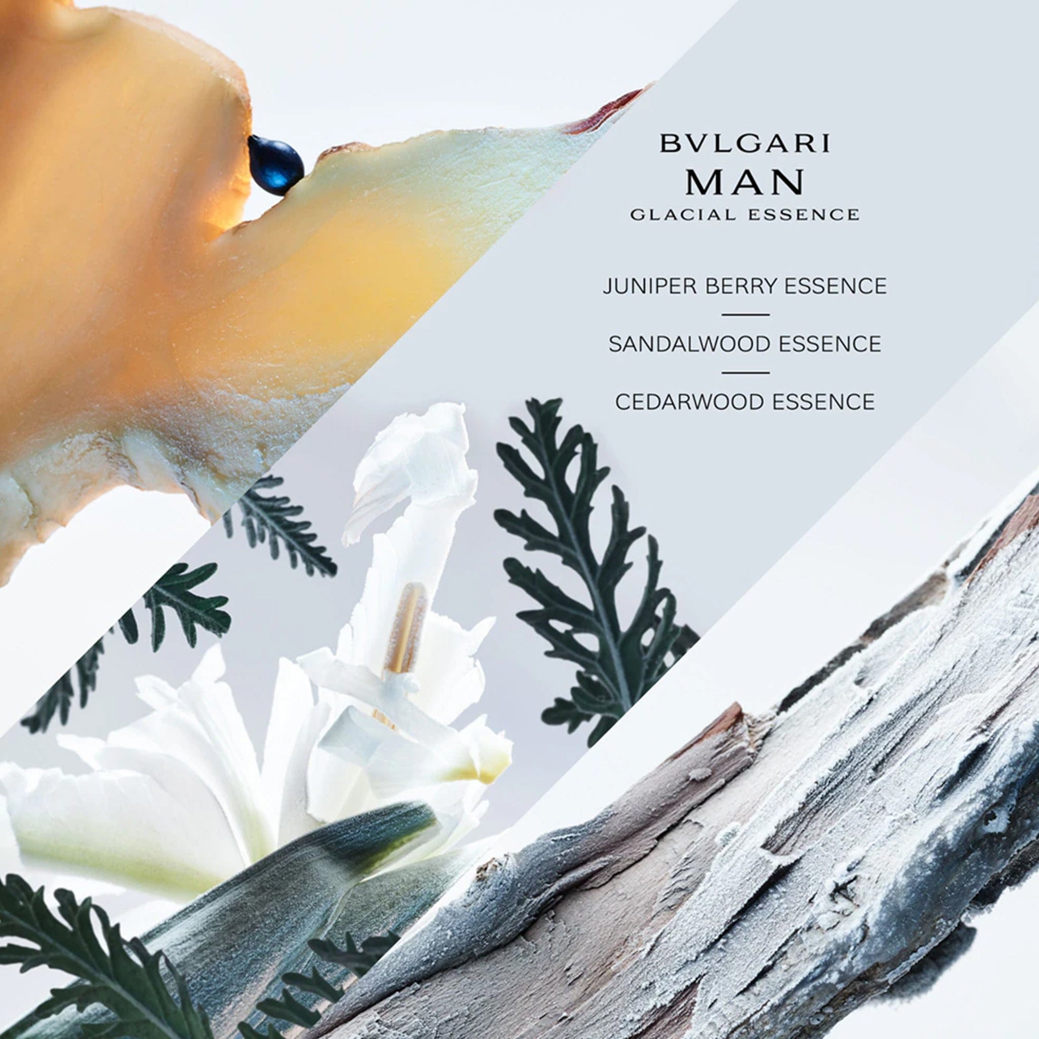 Man Glacial Essence by Bvlgari - Apa de Parfum Barbati - 100 ml