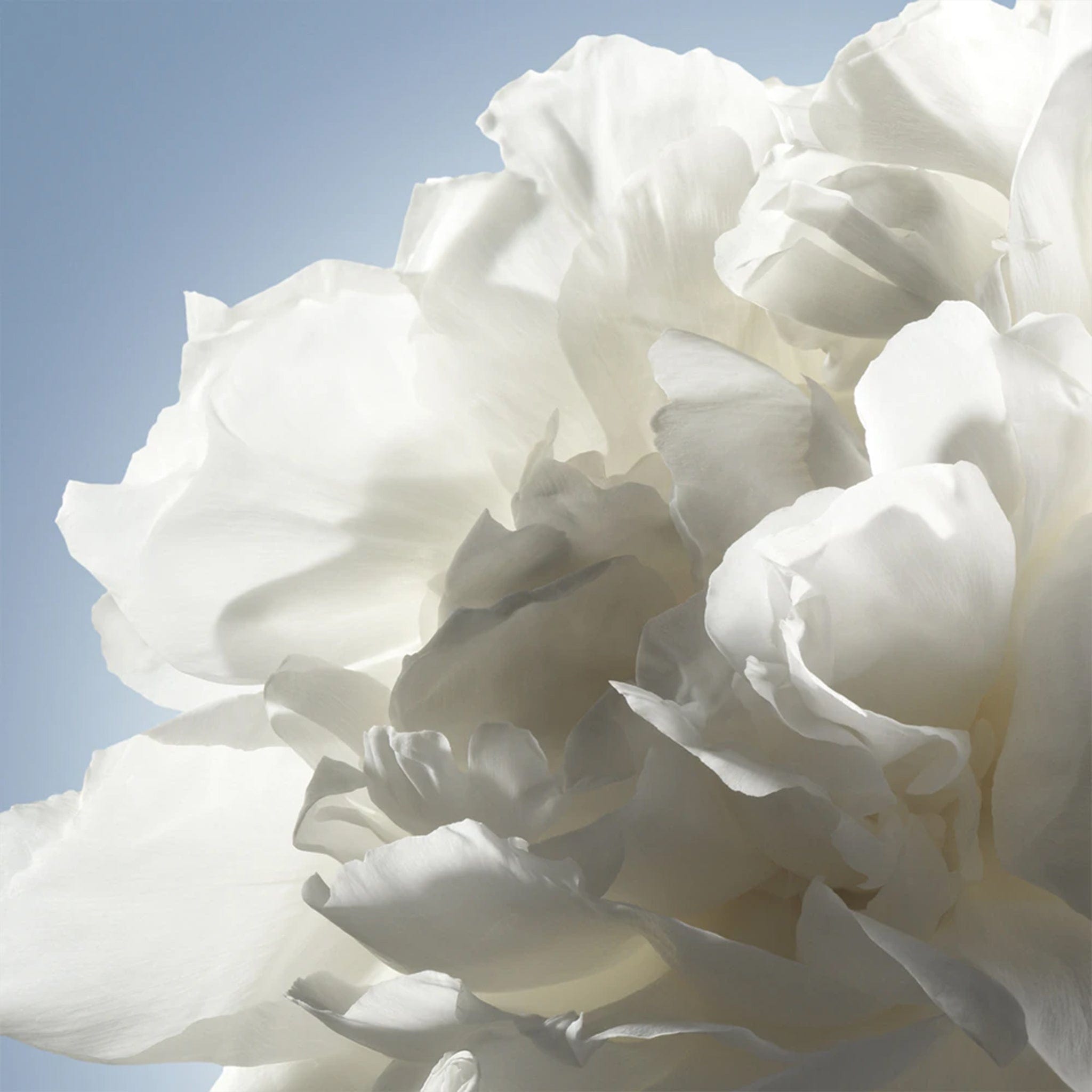 Noa by Cacharel - Apa de toaleta dama - 50 ml