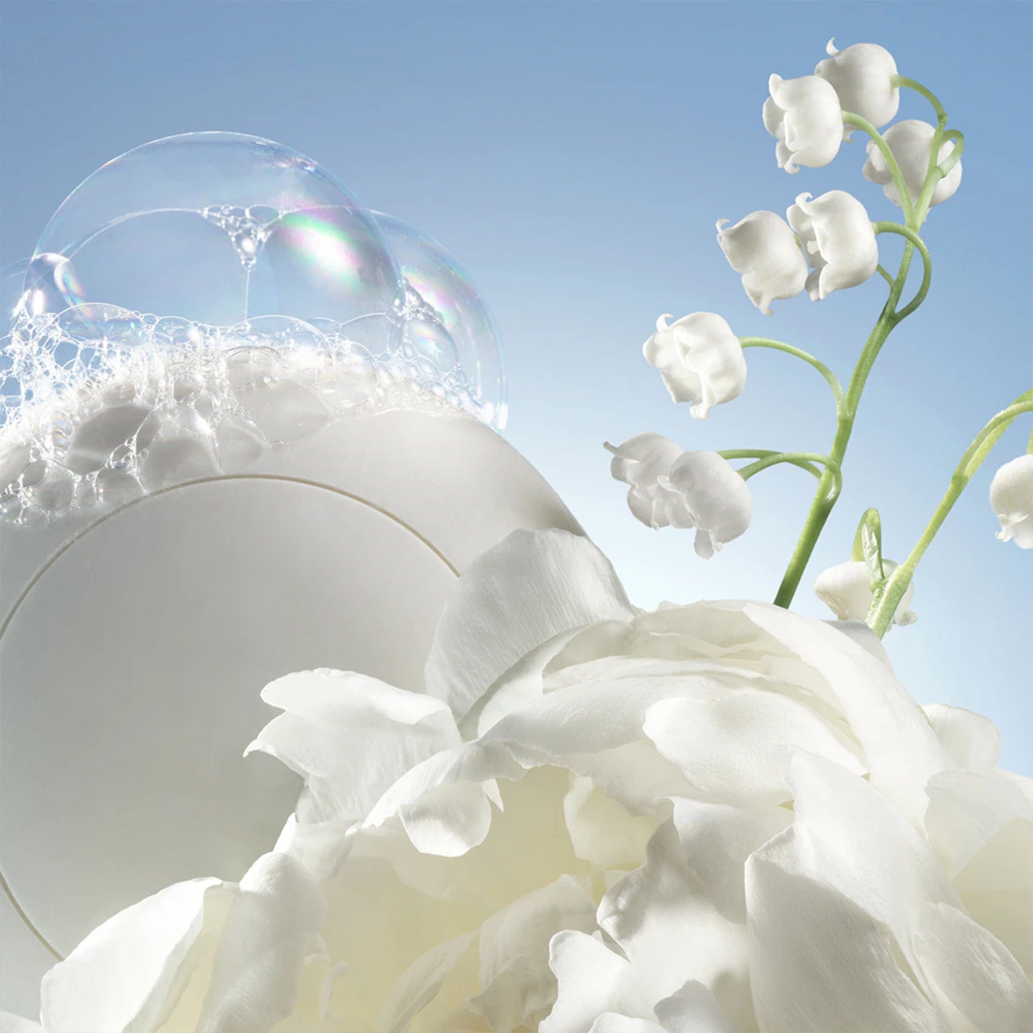 Noa by Cacharel - Apa de toaleta dama - 50 ml