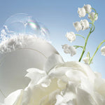 Noa - 50ml