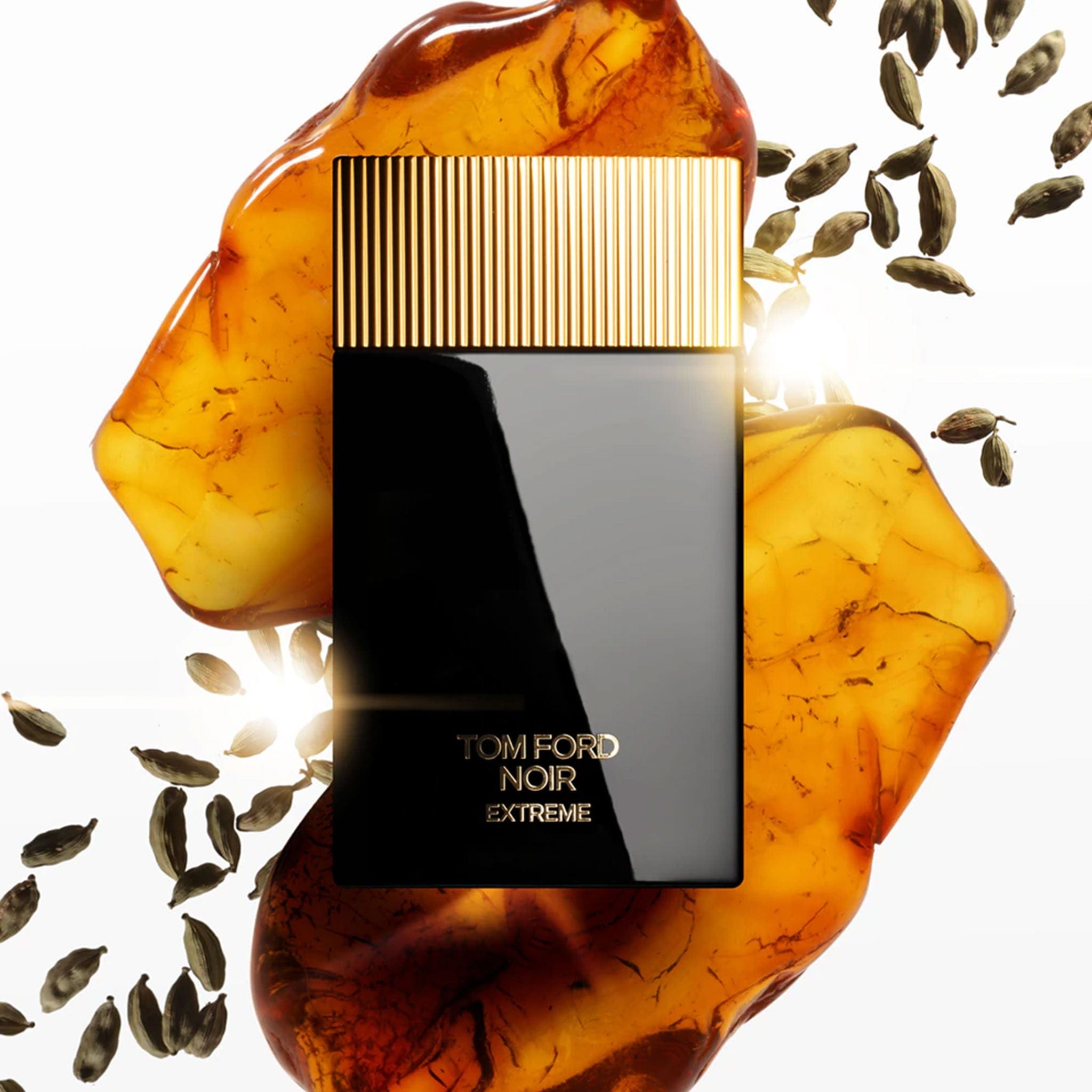 Noir Extreme by Tom Ford - Apa de Parfum Barbati - 100 ml