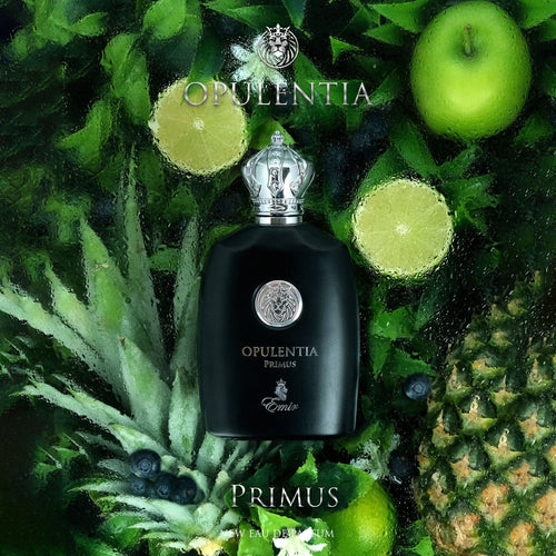 Opulentia Primus - EDP Barbati - Emir by Paris Corner 100 ml