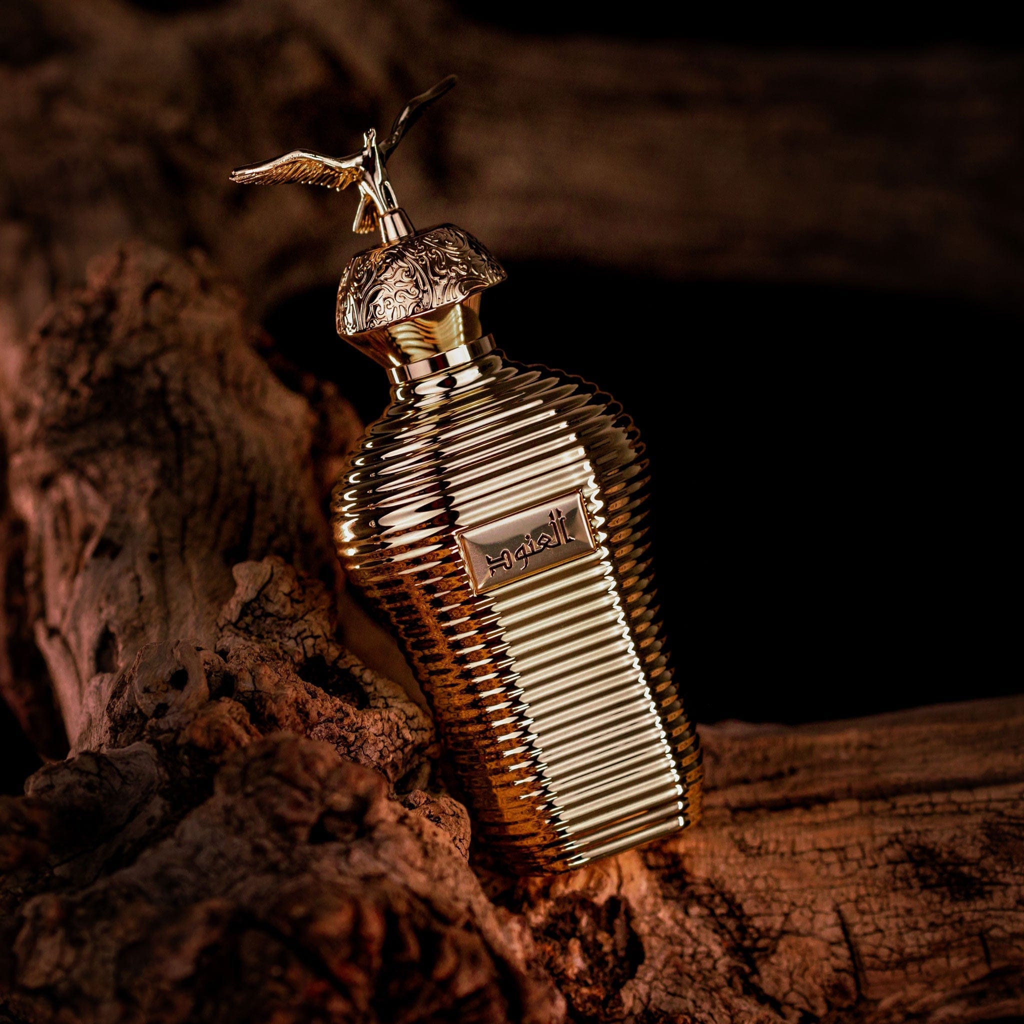 Alonoud by Maison Asrar - Apa de parfum barbati - 100 ml