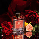 Amber Oud - Extract de parfum Unisex - Ministry of Oud by Paris Corner 100 ml