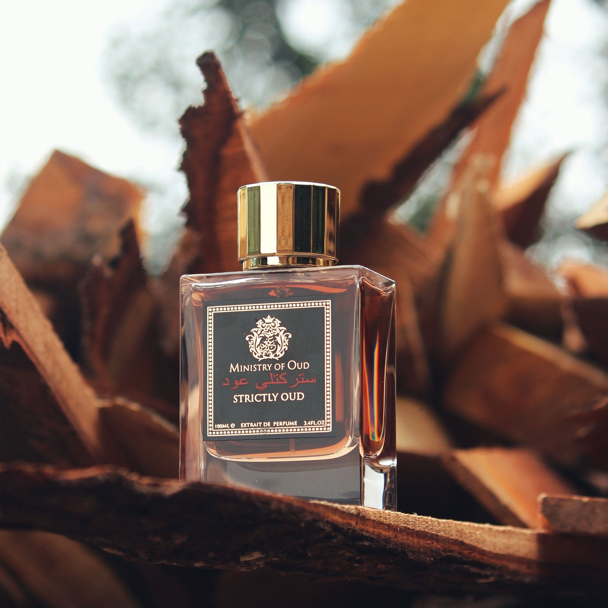 Strictly Oud by Ministry of Oud - Extract de parfum barbati - 100 ml