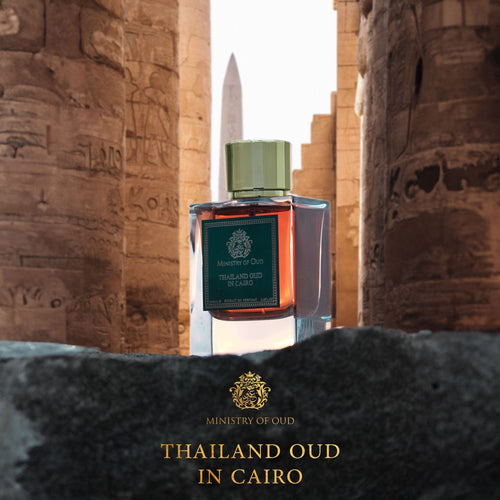 Strictly Oud - Extract de parfum Unisex - Ministry of Oud by Paris Corner 100 ml