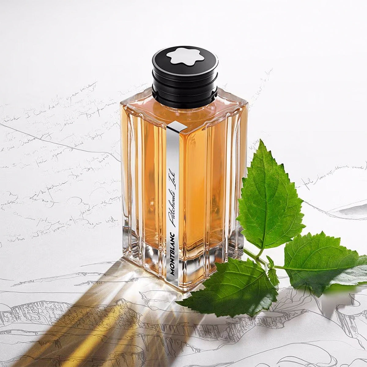 Patchouli Ink by Mont Blanc - Apa de Parfum Barbati - 125 ml