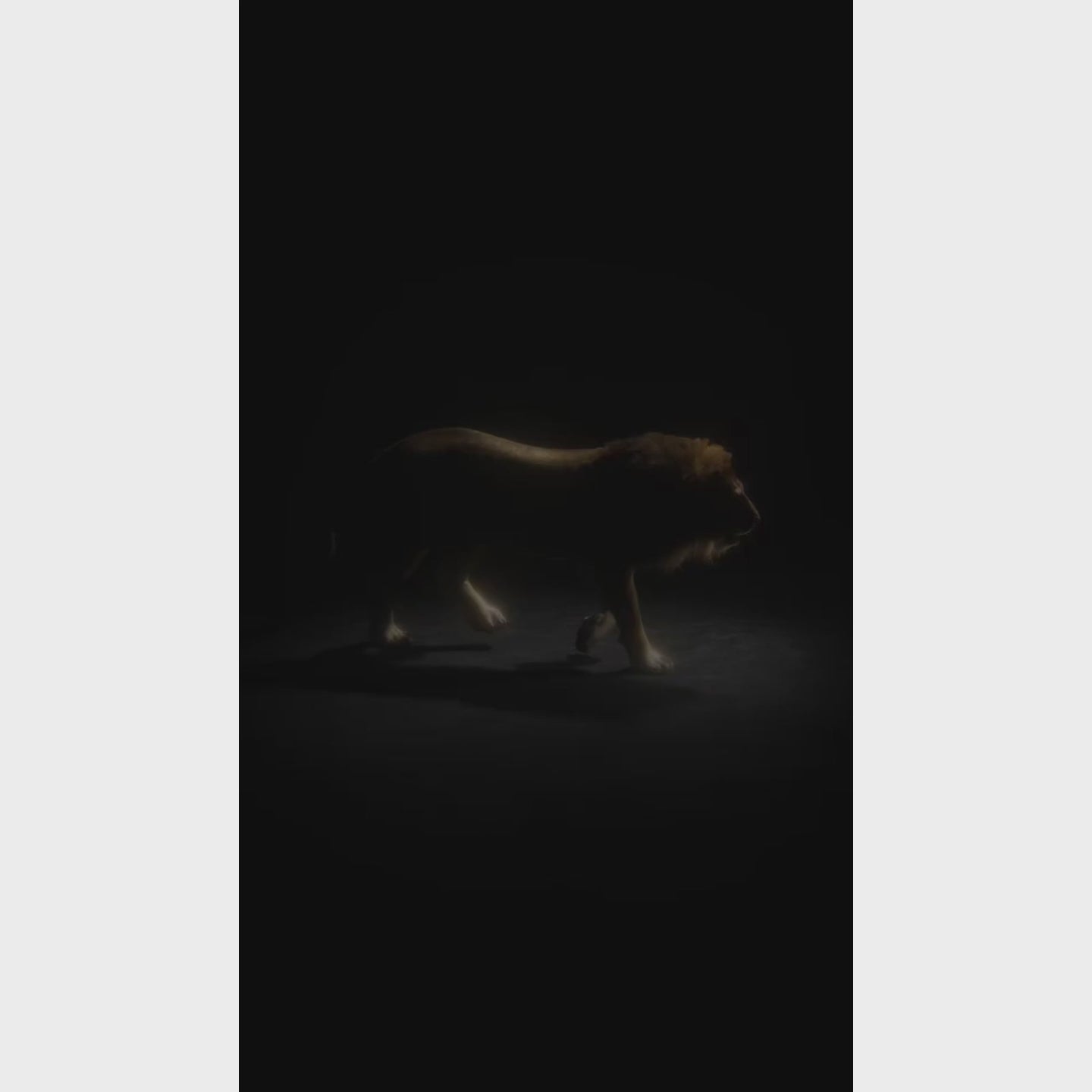 Lion by Rayhaan - parfum arabesc barbati - EDP 100 ml