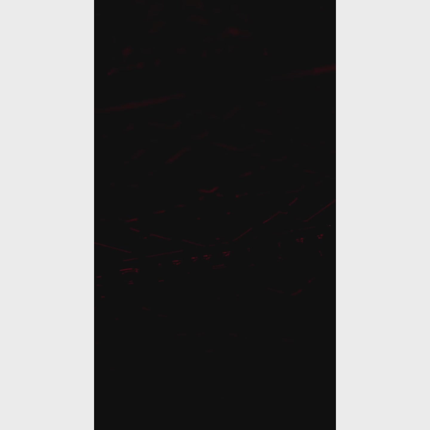 Crimson by Rayhaan - parfum arabesc barbati - EDP 100 ml