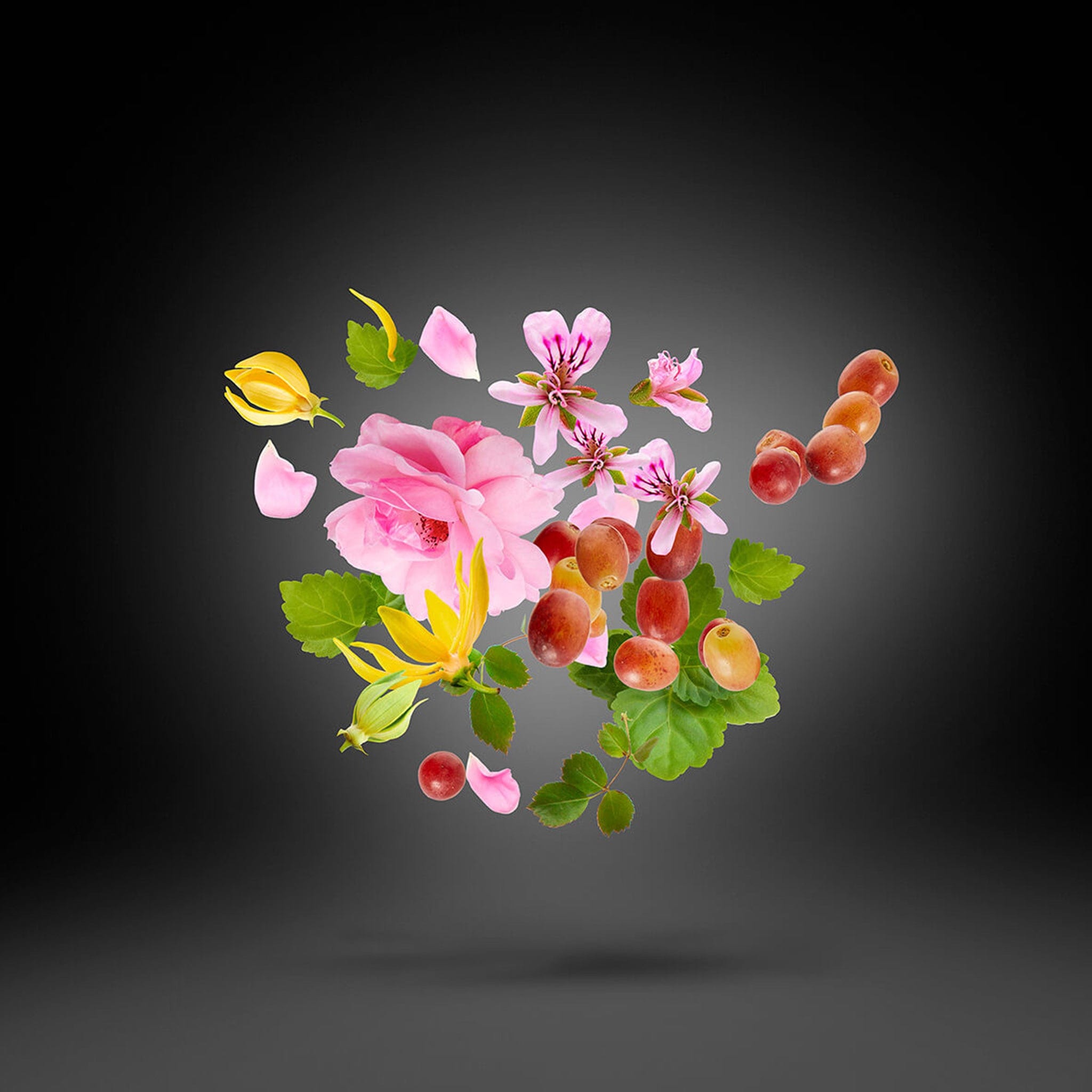 Regio by Xerjoff - Apa de parfum unisex - 100 ml