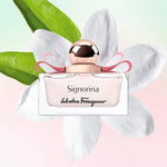 Signorina - 50ml