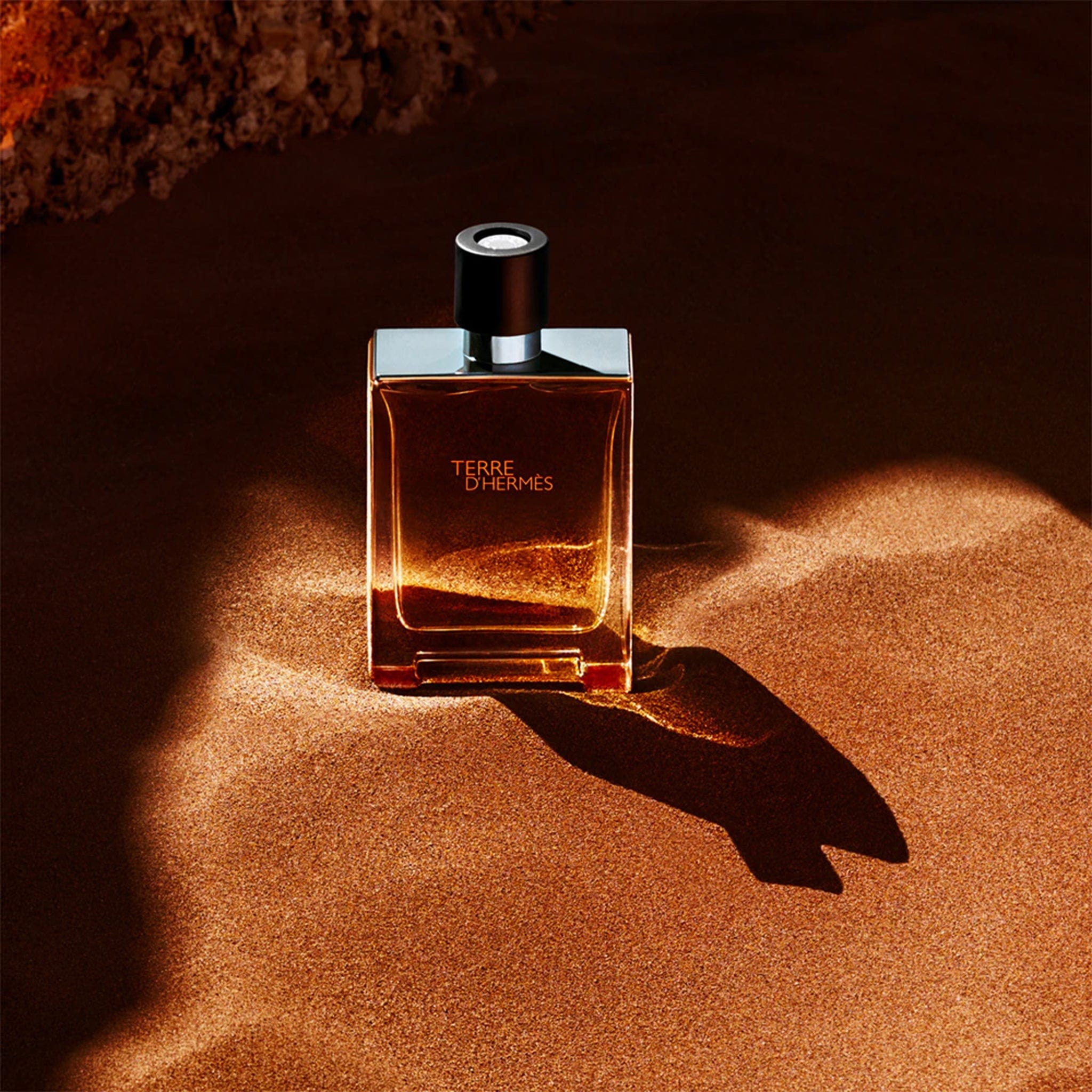 Terre D'Hermes by Hermes - Apa de Toaleta Barbati - 100 ml