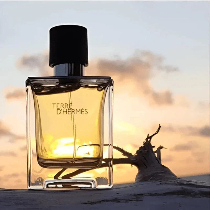 Terre D'Hermes by Hermes - Apa de Toaleta Barbati - 100 ml