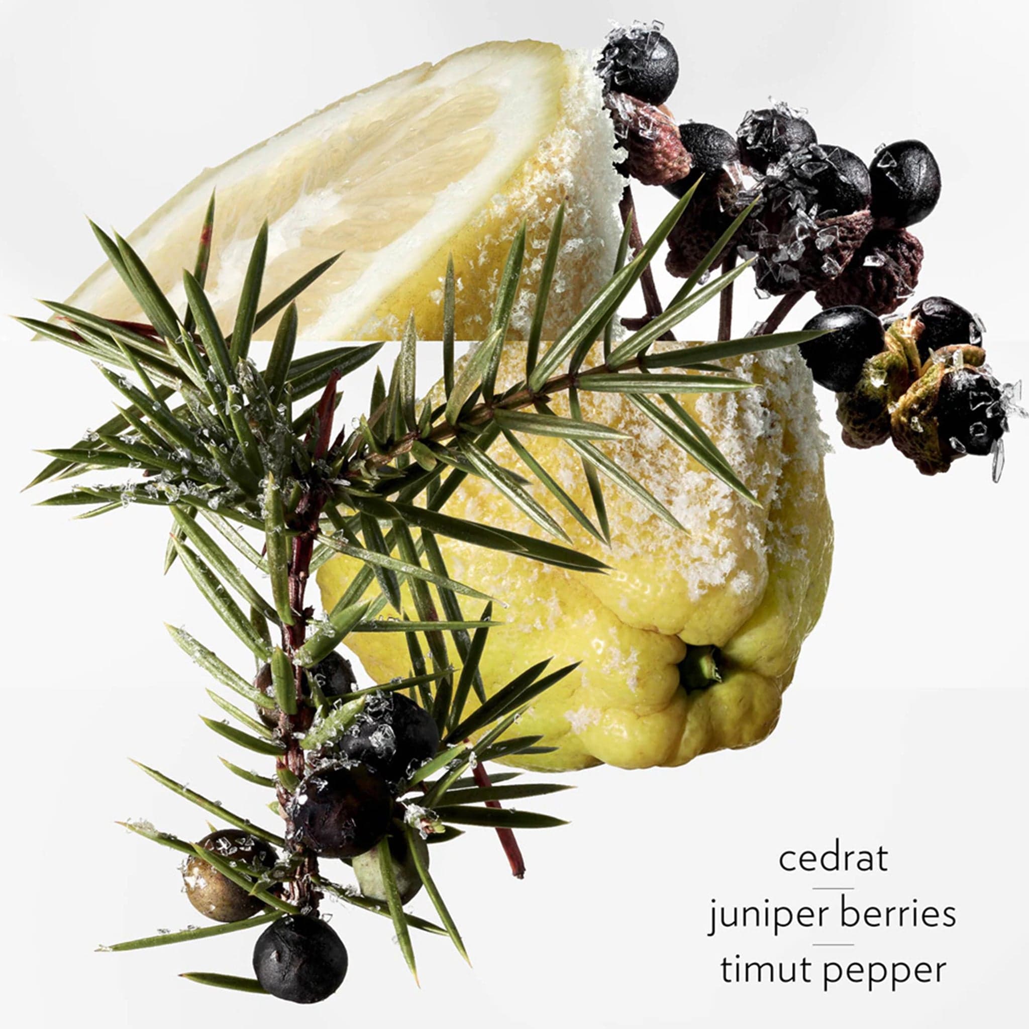 Terre d'Hermes by Hermes - Apa de parfum barbati - 100 ml