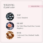 Wild Fig and Pink Cedar Lotiune pentru maini si corp 300 ml - Lotiune pentru maini si corp 0 - Grace Cole 300 ml